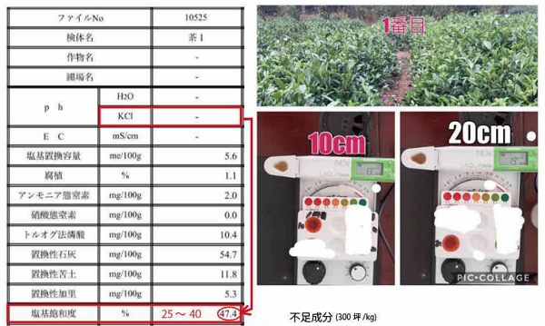 Improvement of taro
Rizhao blueberry disease prevention and