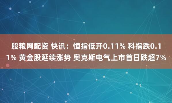 股粮网配资 快讯：恒指低开0.11% 科指跌0.11% 黄金股延续涨势 奥克斯电气上市首日跌超7%